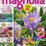„Magnolia” z kalendarzem i kuponem