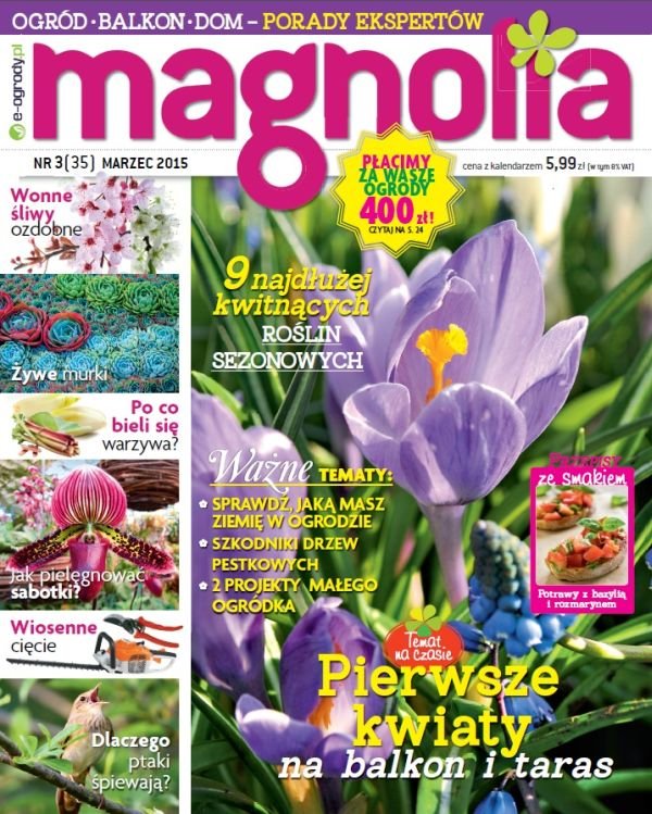 magnolia 3 2015