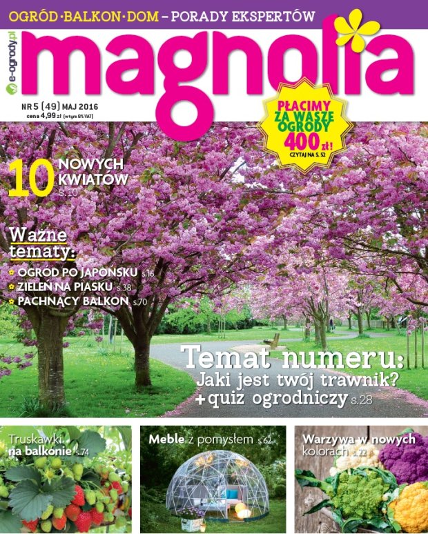 magnolia 5 2016