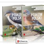 Atlas „Ptaki Polski”