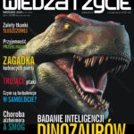 Polityka wydawcą miesięcznika „Wiedza i Życie”