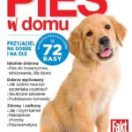 Pies w domu