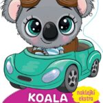 Koala Kajtek