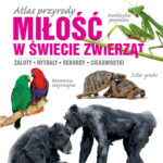 Miłość w świecie zwierząt